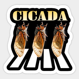 Cicada Brood XIX funny album Sticker